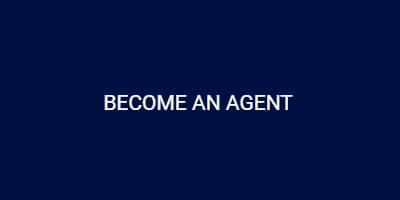 BetKing Agent Page