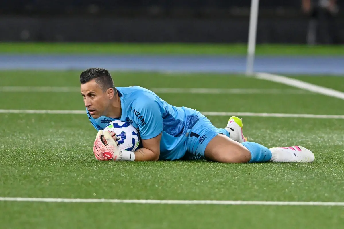 Fabio during the game between Botafogo x Fluminense by 5rd round of Brazilian Championship, 2025