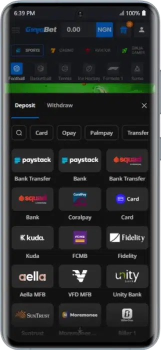 GinjaBet Payment Methods
